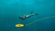Подводный дрон Chasing Dory (11597) 11597 фото 32