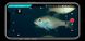 Подводный дрон CHASING F1 Fish Finder Drone (16162) 16162 фото 29