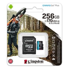Kingston 256GB microSDXC Canvas Go Plus + SD адаптер SDCG3/256GB фото