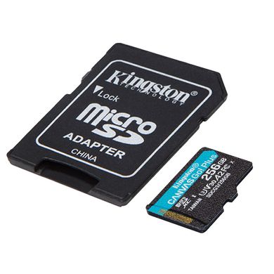 Kingston 256GB microSDXC Canvas Go Plus + SD адаптер SDCG3/256GB фото
